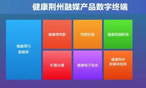荆州日报荣获全国信息消费应用创新奖 数字文化创意内容应用服务的先锋探索